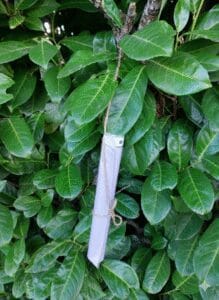 Cacher vos indices,chasse au trésor,jeu de piste,cacher indices,enfants,Fait maison,Jardin,extérieur,Énigmes,Indices,Enfants,Jeu d'aventure